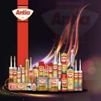 رایمند تجارت مرز