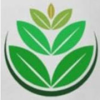 بادگیر نگین کویر