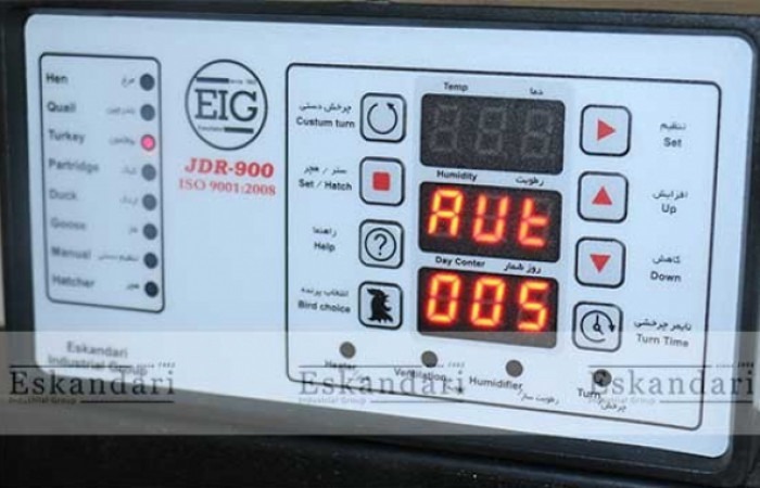 حالت-انتخاب-پرنده-بوقلمون