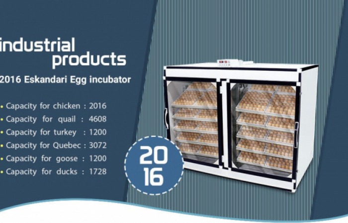 بررسی-محصول-2016-عددی-اسکندری (1)