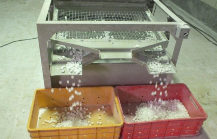 photo_2015-08-15_15-21-01