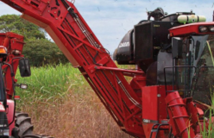 5215fcd1955d361bb89ad8856028d13c_Colhedora-Case-IH-A8800-Multi-Row-1-2-1920-515-c