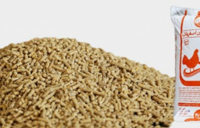 پیش-دان-700x300