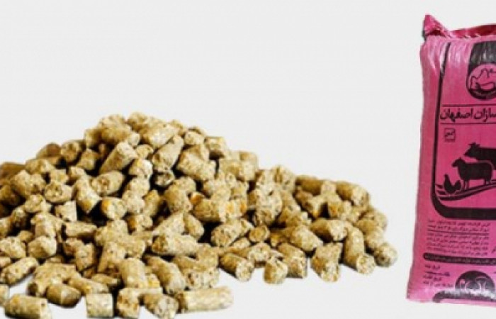 کنسانتره-استارتر-گوساله-700x300