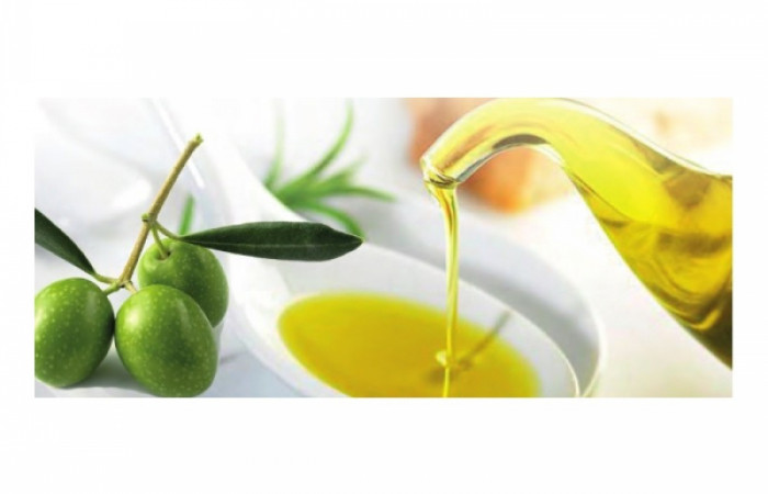 WhatsApp-Image-2019-09-29-at-16.35.48-1