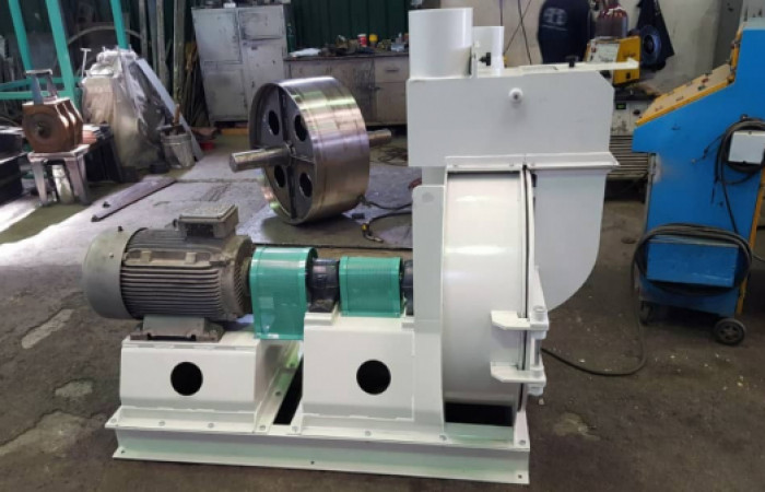 WhatsApp-Image-2019-08-17-at-14.03.08