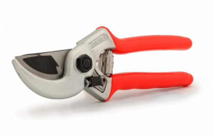 UNIVERSALE-2-768x512