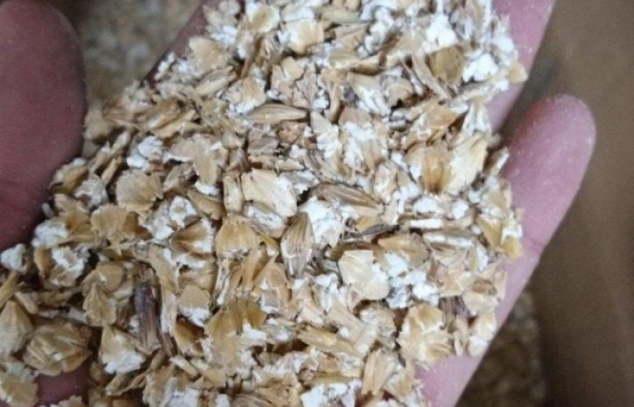 photo_2018-10-14_06-01-01