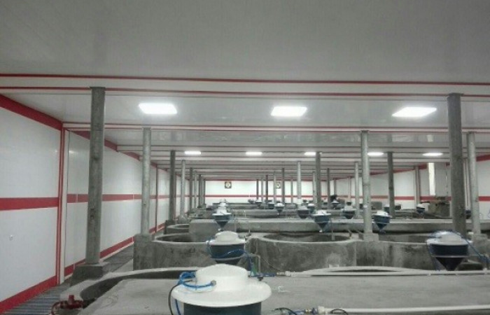 غذاده_در_مزارعه