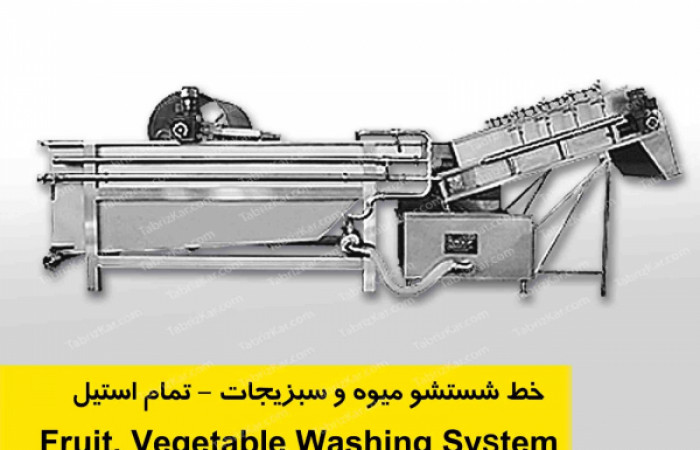 Fruit Vegeteable washing system