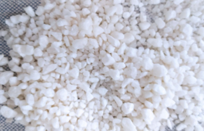 IMG_۲۰۲۱۰۲۲۵_۱۳۳۴۵۲