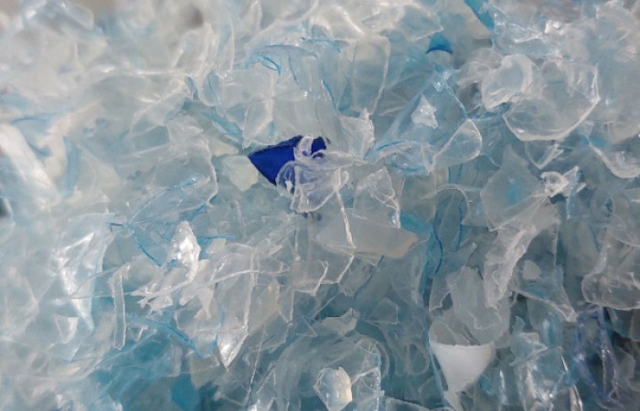 IMG_20231101_183358_631