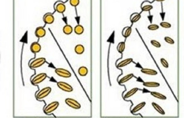 جدا ساز گندم از جو