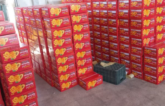 IMG_20240914_195029_097