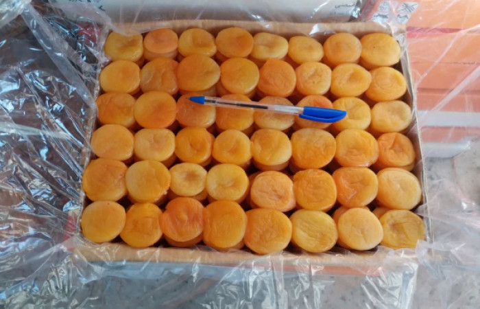 IMG_20240914_195030_503