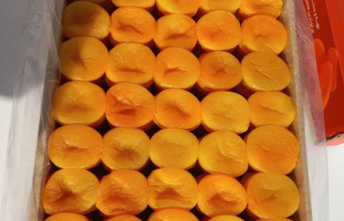 IMG_20240914_195032_535