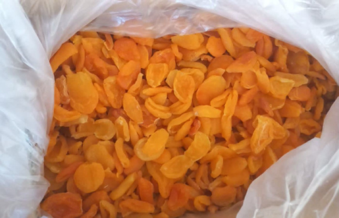 IMG_20240914_195037_268