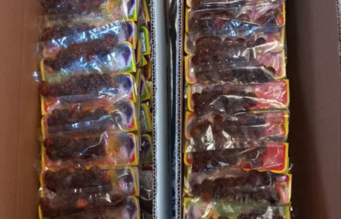 IMG_20240914_195044_285