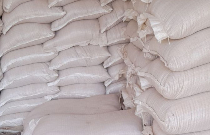 2024-11-12_at_10.30.41.995