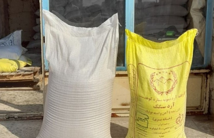 2024-11-12_at_10.31.28.844