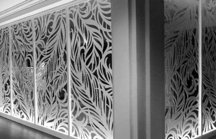 IMG_20241130_135537_426